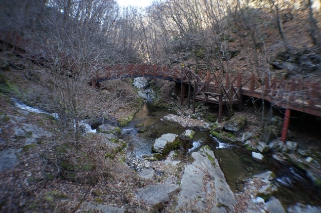 용담연못 이미지