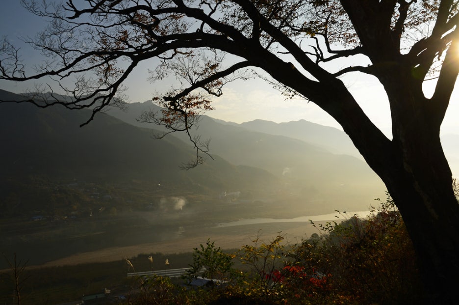 백운산토종꿀 이미지