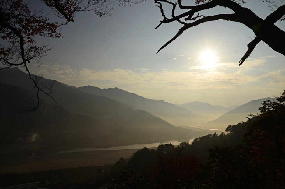 백운산토종꿀 이미지