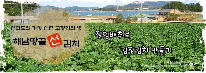 해남 땅끝 선김치 이미지