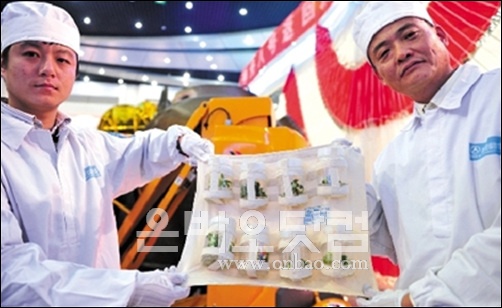 재배공간 이미지