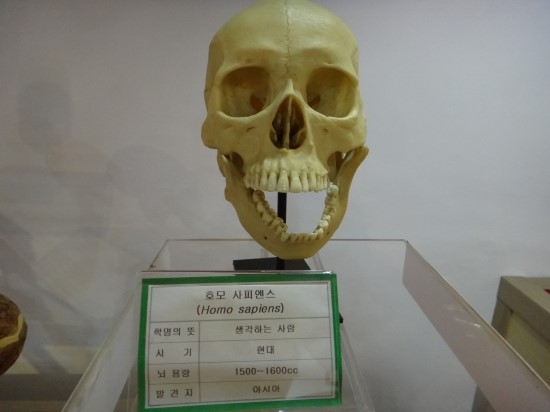 하나장 이미지