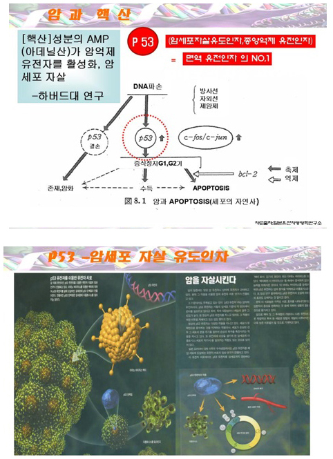 (주)핵산바이오 이미지
