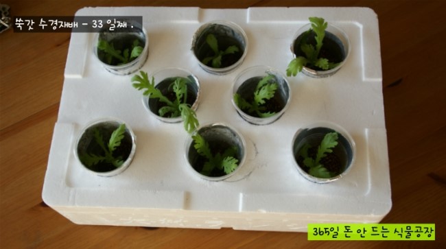 백양사세탁소 이미지