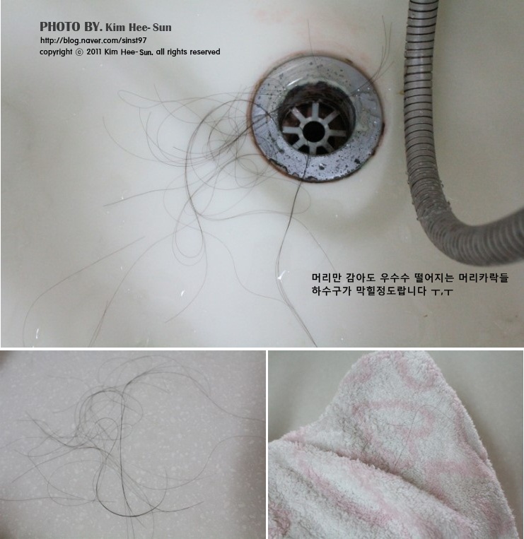 한올사 이미지