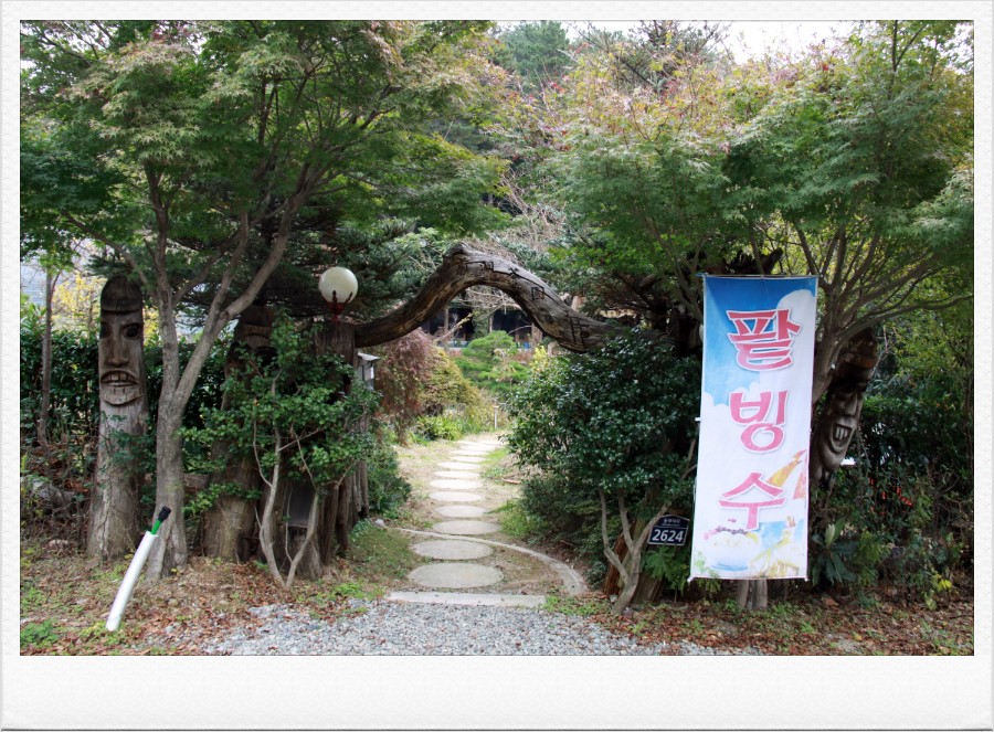 분재전통다원 이미지