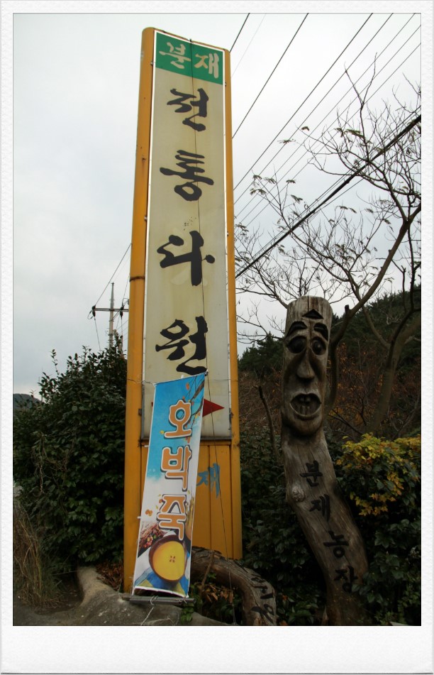 분재전통다원 이미지