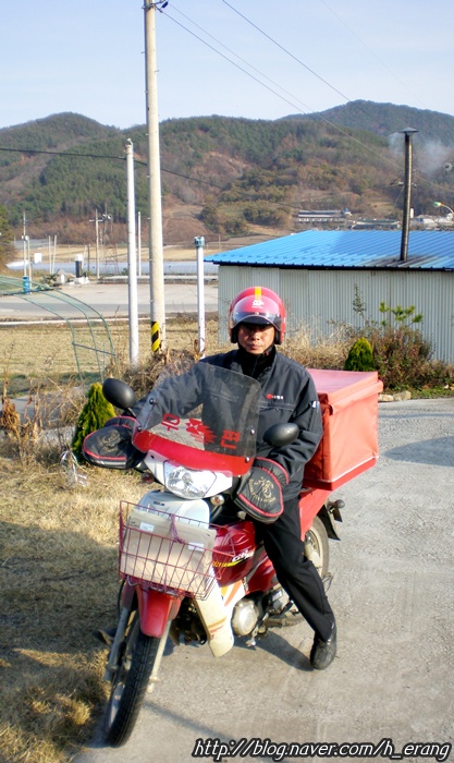 까치인력 이미지