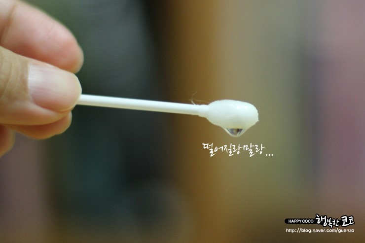 코코네청소 이미지