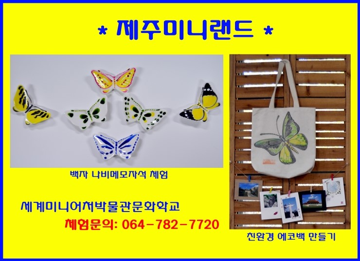 제주체험기획 이미지