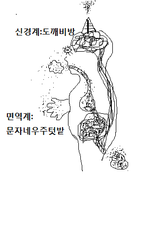 에코프랙탈 이미지