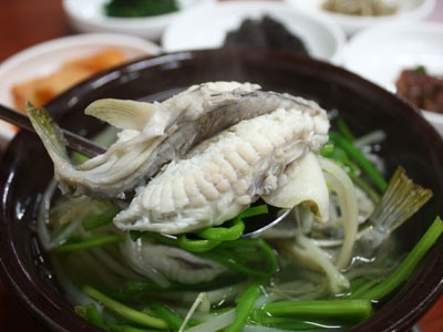 꼬이꼬이 이미지