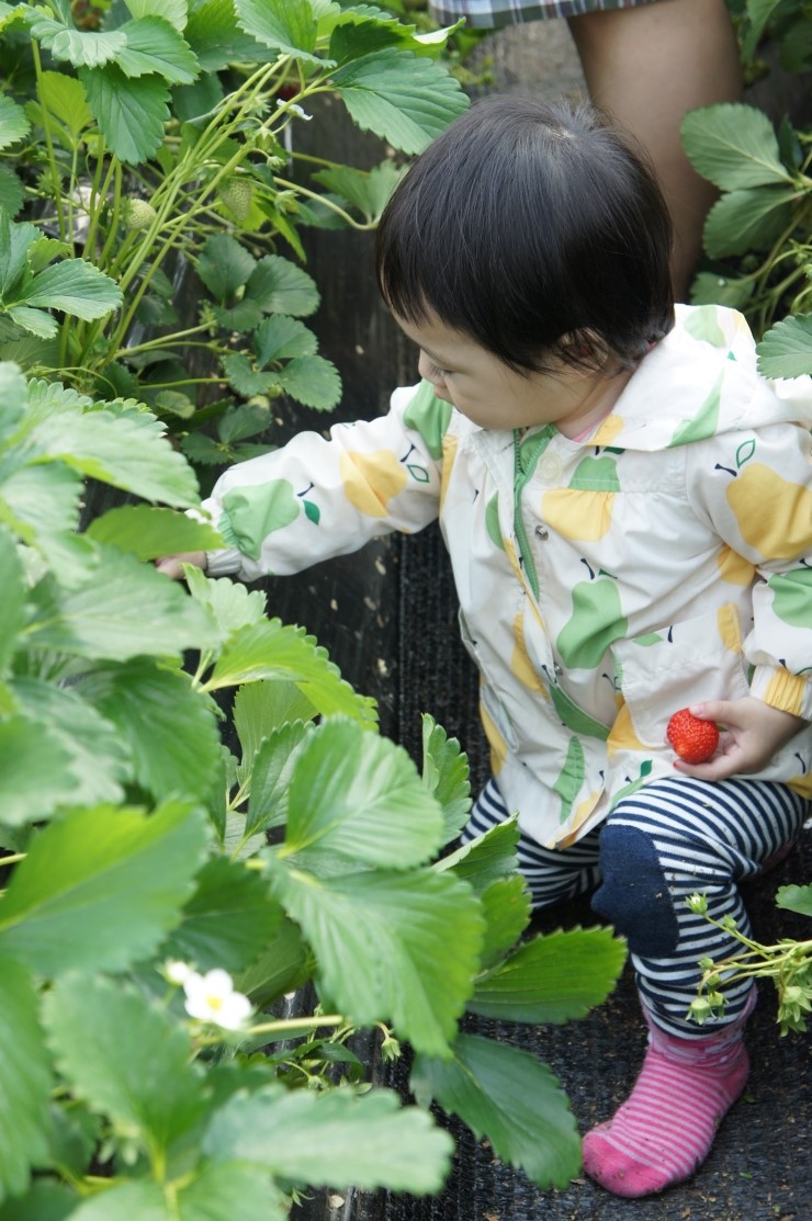 운길산유기농마을 이미지