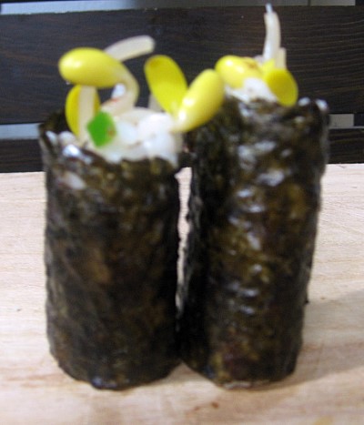 와우꼬마김밥 이미지