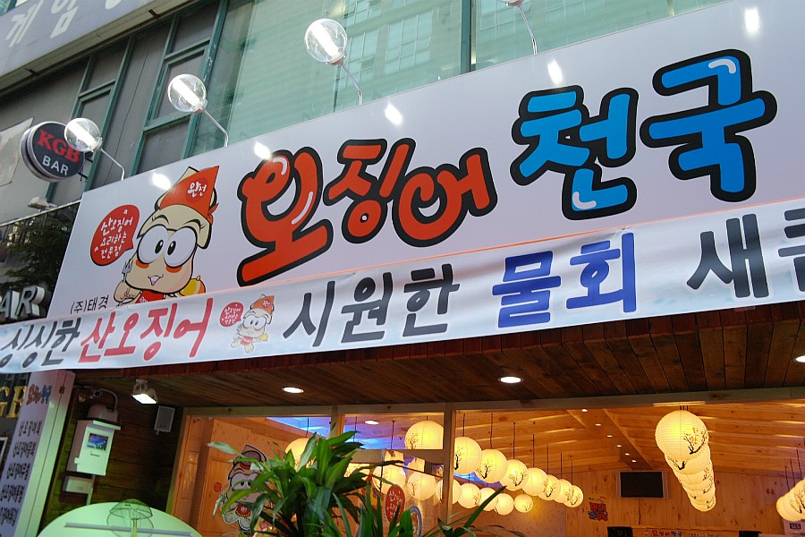 오징어천국완전 이미지