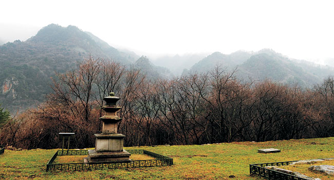 고요한숲 이미지