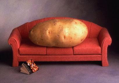 카우치(Couch) 이미지