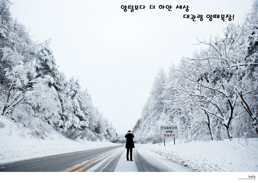 더하얀세상 이미지