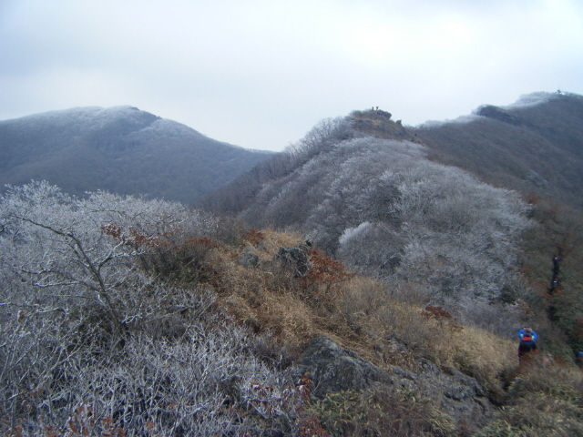 소리고원 이미지