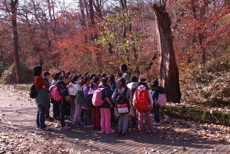 서울등현초등학교 이미지