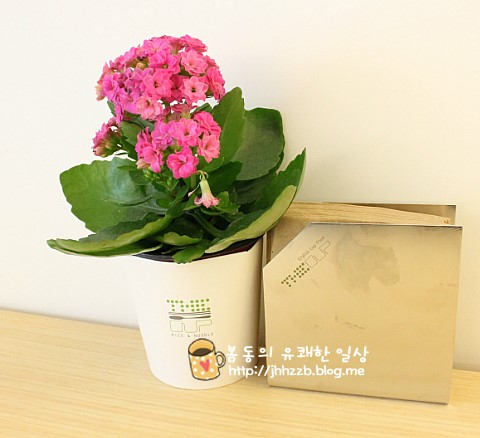 더컵 이미지