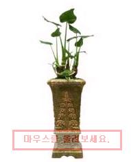 팜가이아 이미지