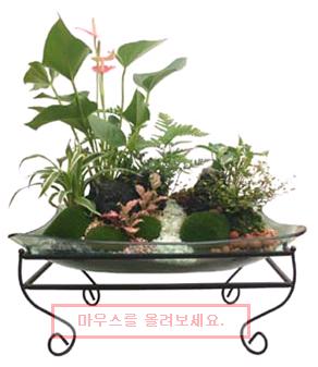 팜가이아 이미지