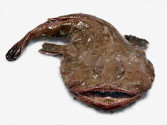 김해식당 이미지