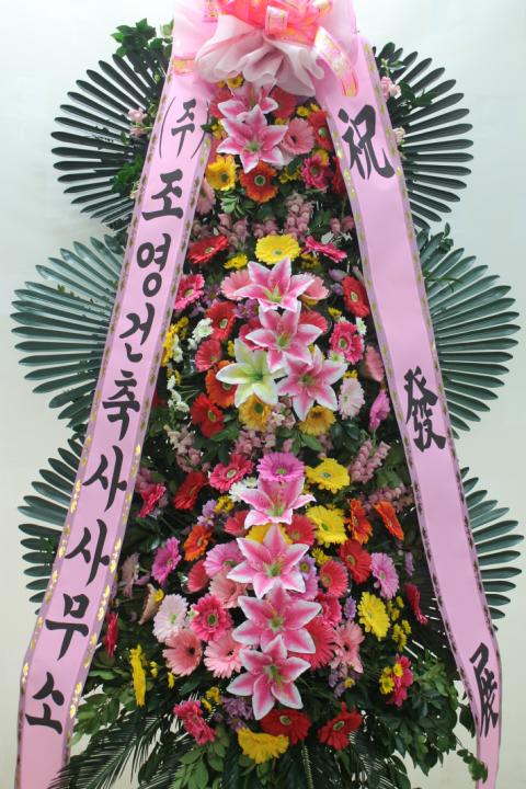 조영건축사사무소 이미지