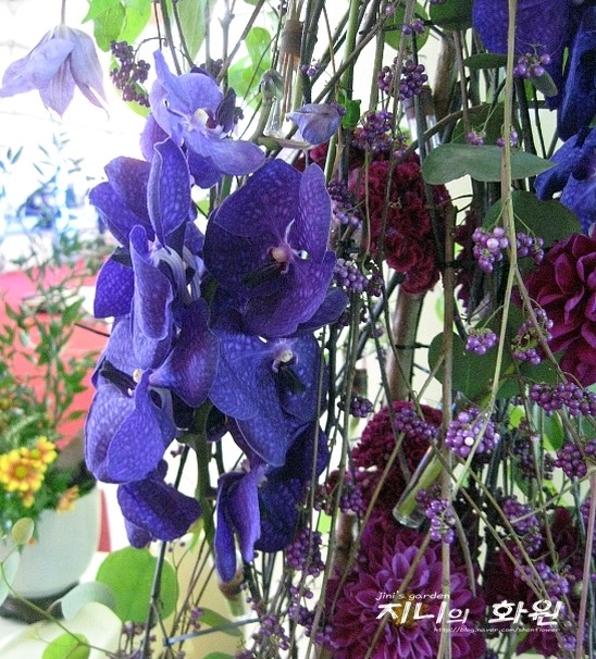 손지윤플라워 이미지