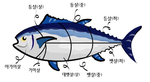 하참치 이미지