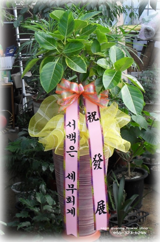 제일종합가스 이미지