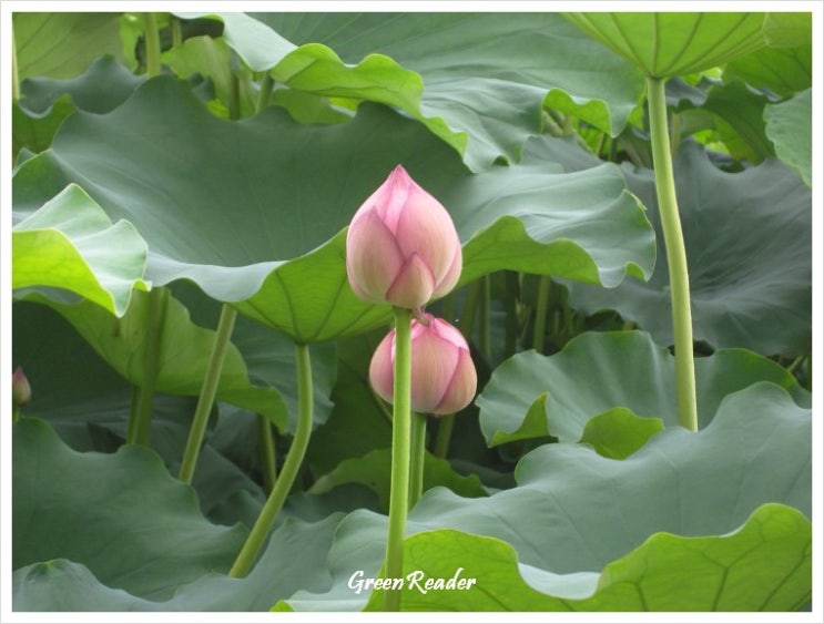 경원기술단 이미지