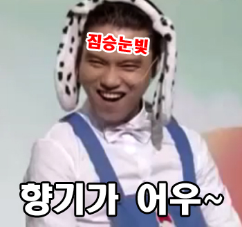 스멜 이미지