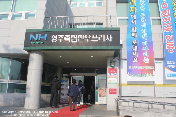영주축협한우프라자 이미지