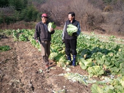 공룡나라 친환경 보리수농장 이미지