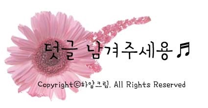 요기내 이미지