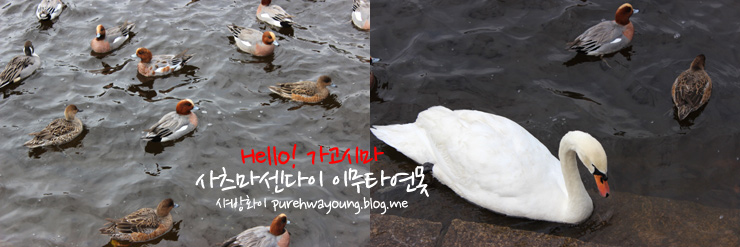 타이케 이미지