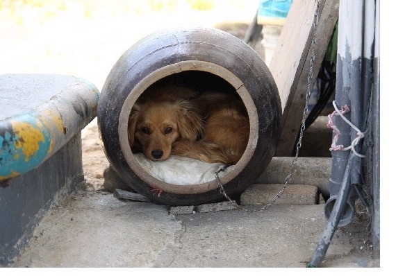 오늘의뽑기 이미지