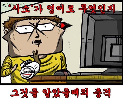 시소시소 이미지