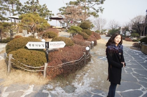 탐라이스 이미지