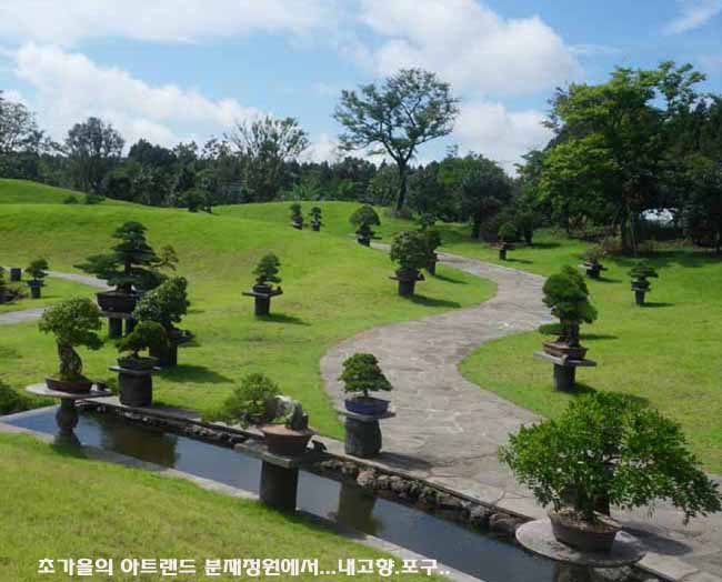 푸른분재원 이미지
