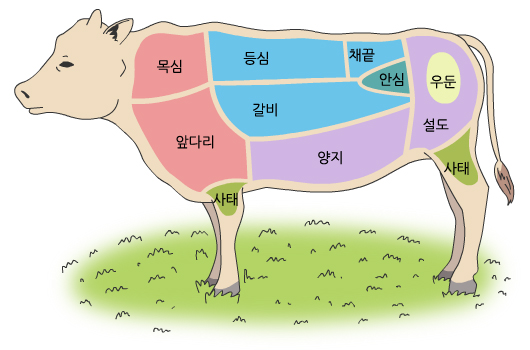 보리한우 이미지