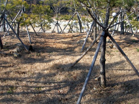 바보오리농장 이미지