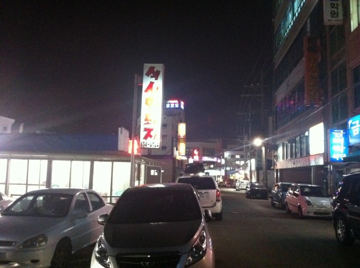섹시한돼지 이미지