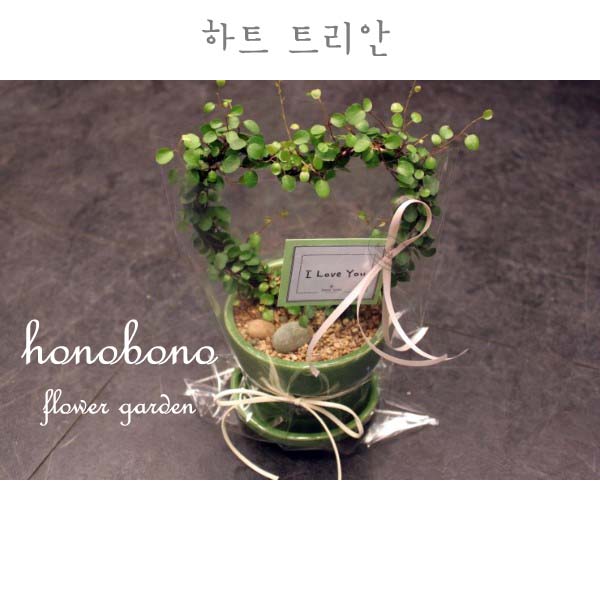 트리안꽃집 이미지