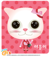 캔디캣 이미지