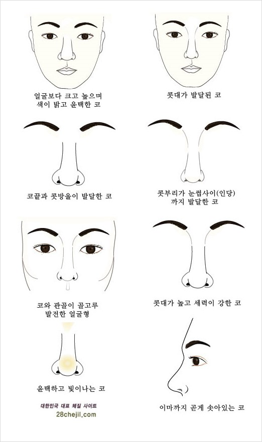 [관상과성형] 여러가지 코모양과 성격 : 네이버 블로그