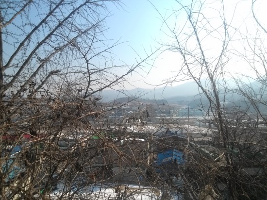오가식품 이미지