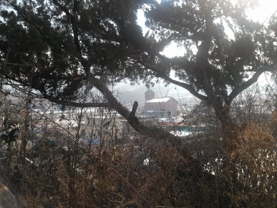 오가식품 이미지
